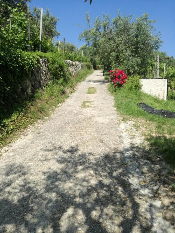 佩德蒙特Uno Sguardo Sulla Valpolicella公寓 外观 照片